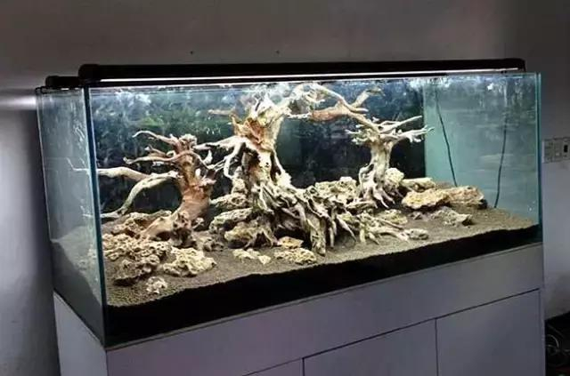 家居水景丨极品沉木打造完美水草造景缸