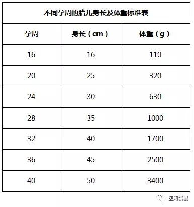 （以上数据来自第八版妇产科学教科书）
