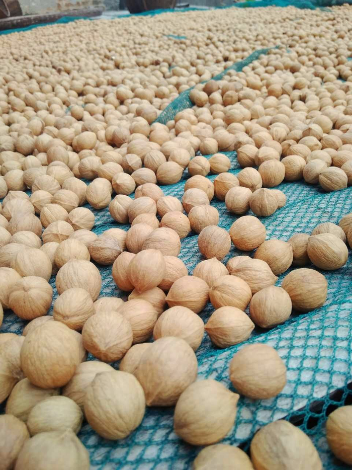 核桃保存期限多长 旺鹭食品哪些饮料值得买