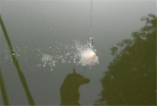 四、加一点水，用力捏