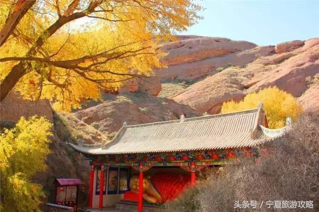 2017宁夏6处最美秋天赏景地,你去过几个?