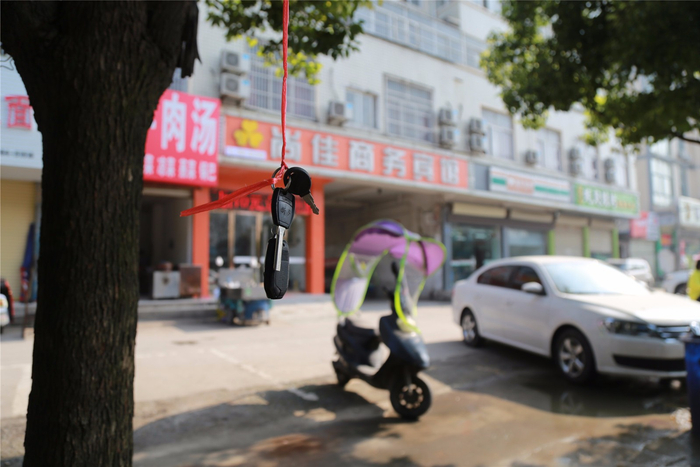 捡到东西挂树上 网友说:这个失物招领有爱心
