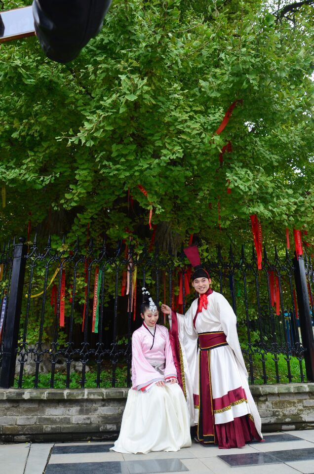 而说起这棵古银杏的所在——宗圣宫,也是中国道教和道文化发展史上不