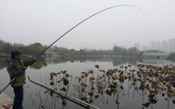 你未必真的了解传统钓，客观认识传统钓独具的魅力和精髓
