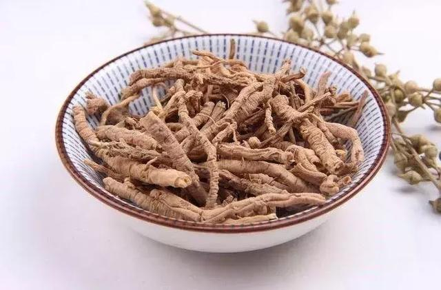 神农本草经药物解读——远志