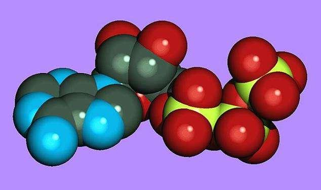 生物导学案：细胞的能量“通货”——ATP