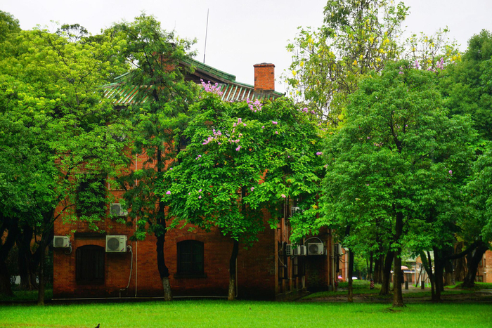 中山大学校园。|中山大学|校园_新浪新闻