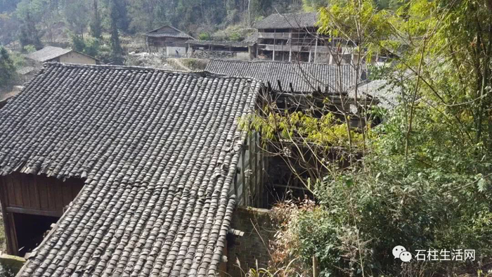 石柱王家乡发现光绪年间的宗祠,你们知道这里吗?