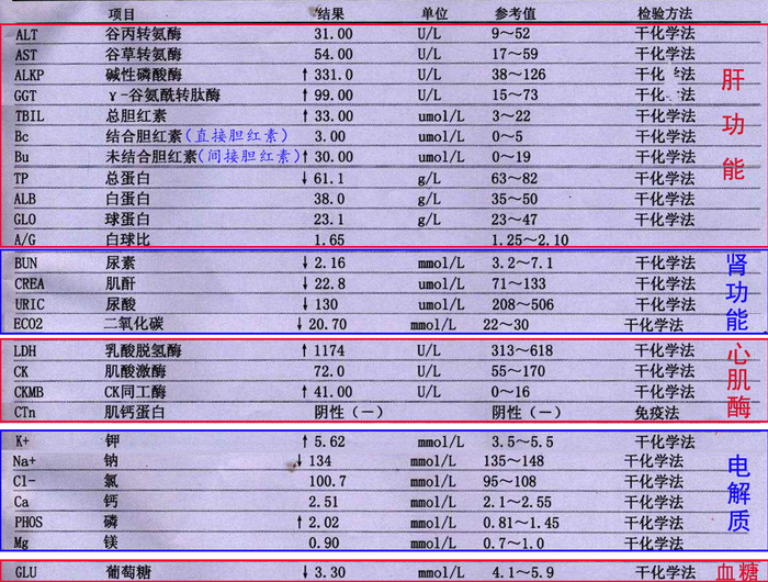 小白也可以看懂化验单