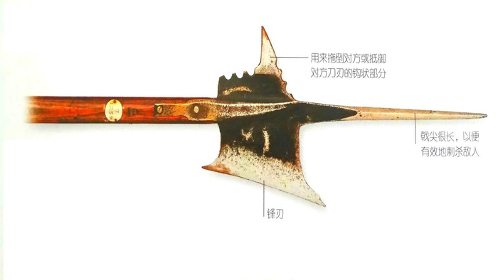 世界战戟争霸赛: 非洲瑞士入围