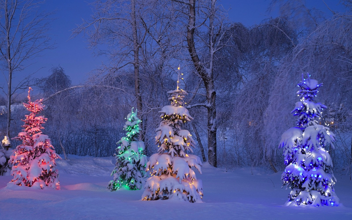 电脑壁纸:深冬唯美好看雪地夜景高清图片