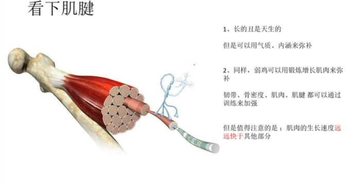 还有些健美运动元通过药物来增长肌肉，同时也有很多副作用，这样是不可取的。
