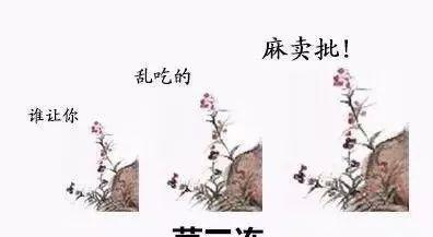 赶紧来收图了，最全的三连图表情包，值得拥有，斗图利器！