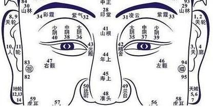 鼻相解析:你是“正财鼻”or“偏财鼻”?!|鼻相|面相|鼻梁|偏财|准头_新浪新闻
