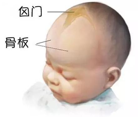 分享: 小囟门大秘密, 宝宝的囟门多久闭合? 宝妈该如何正确护理?