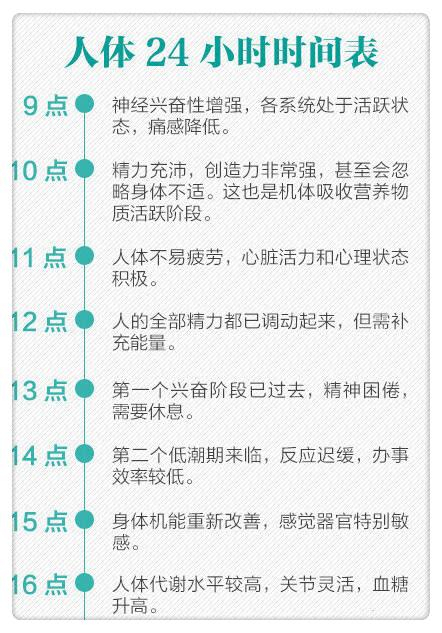 养生必看!24小时人体时间表!
