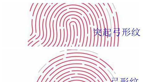 风水手相:食指指纹代表了你的爱情之路!|爱情|手相|风水_新浪新闻
