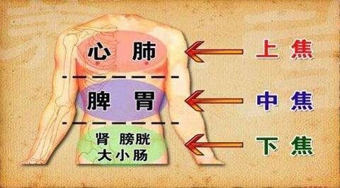 中医师提醒:有关《黄帝内经》五脏六腑的精华总结