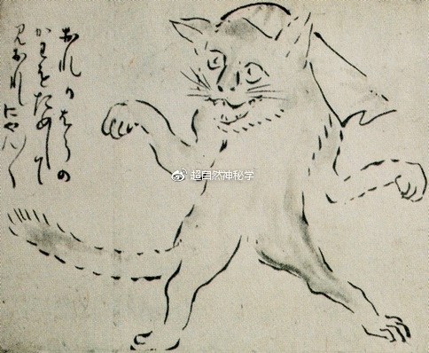 从日本猫文化扒一扒神秘的猫妖