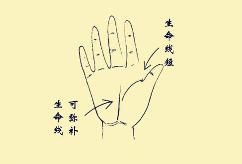 生命线短不要怕,现在就教你几招如何弥补的方法!