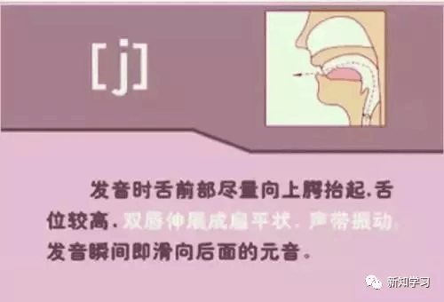 小学英语48个音标发音的详细图解, 快为孩子收藏|收藏|辅音|发音|英语|音标_新浪新闻