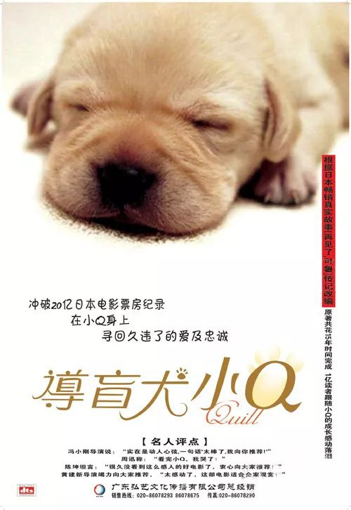 推荐六部不能错过的狗狗影视剧,每部都能让人哭得稀里哗啦!