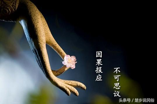 万事有因果,世人应尽知!33句经典因果名句,读懂了福报绵绵|_新浪新闻