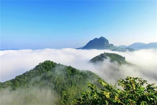 云南镇雄为什么出名? 原因镇雄人不好意思说|镇雄|出名|高铁