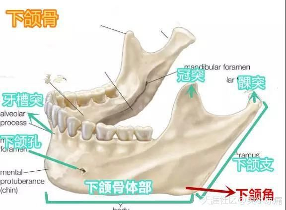 《烈火如歌》周渝民被吐槽肥头大耳又油腻