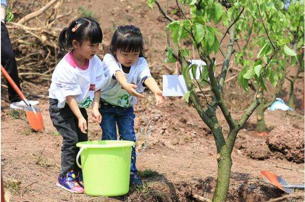 3月12日植树节,幼儿园节日教育活动