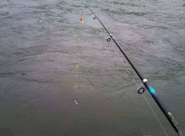 海竿钓底线组及方法,冬季钓鲤鱼很实用!