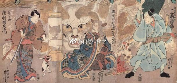 从日本猫文化扒一扒神秘的猫妖