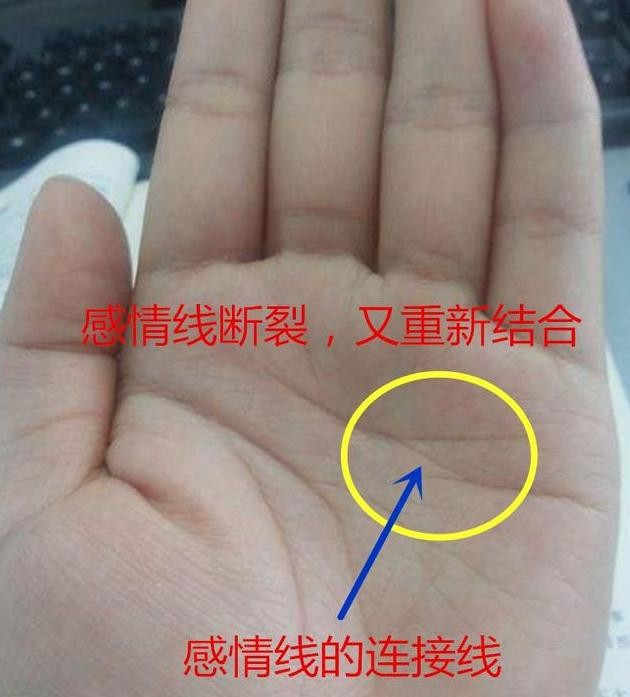 手相上感情线断开之人,也并不是代表一定会离婚