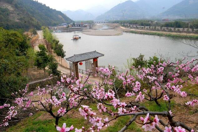 奉化有“三宝”，一年四季花果飘香|奉化|芋艿头|水蜜桃|花果|千层饼_新浪新闻