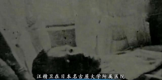 他和平救国却被骂为大汉奸,在异国临死前最后一句话:我要回中国|汉奸|汪精卫|同盟会_新浪新闻