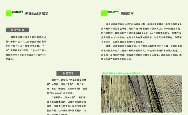以竹代木、以竹代钢——箐刚竹