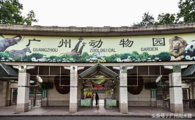 广州这个动物园门票只要20元,一年游客量可达400万人!_新浪新闻