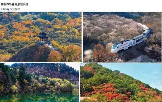 六安又添两座大公园，总投资近12个亿！就在这里~|六安|横河|皖西|森林公园|白鹭_新浪新闻
