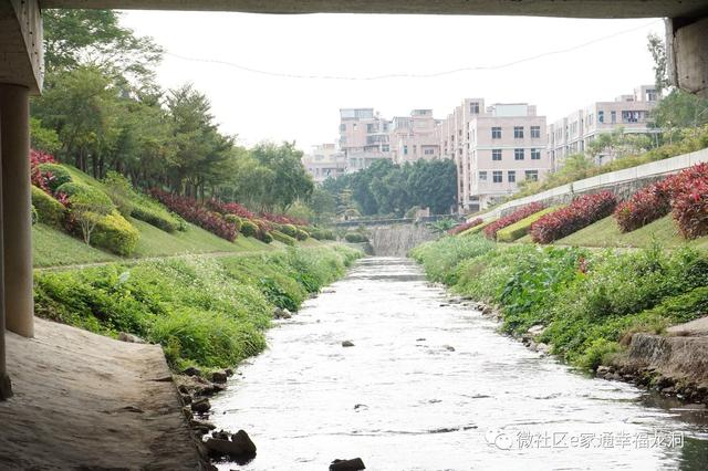 天河|保护车陂涌,龙洞在行动:车陂涌两岸这么美!