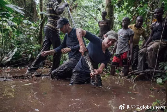 拯救世界的刚果湿地，能否拯救当地人的生活？|泥炭|刚果|雨林|森林|西蒙_新浪新闻