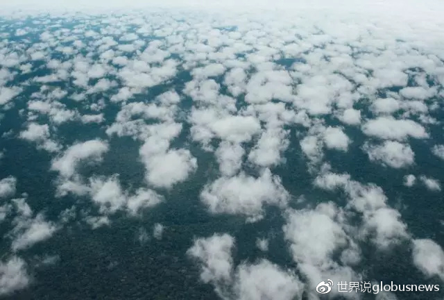 拯救世界的刚果湿地，能否拯救当地人的生活？|泥炭|刚果|雨林|森林|西蒙_新浪新闻