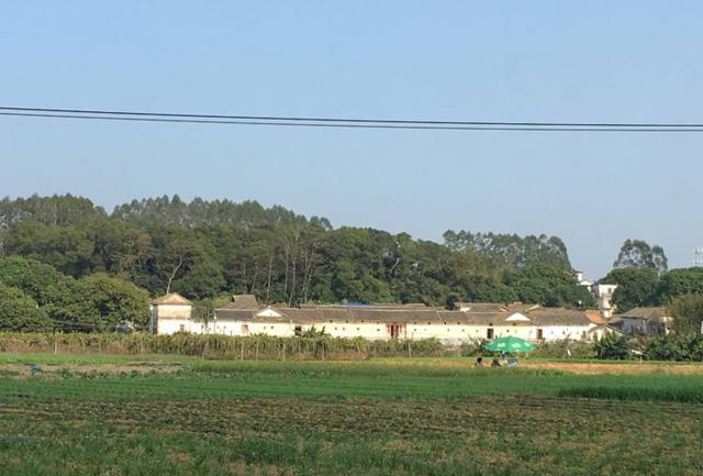 手机视频曝光:惠阳秋长街道小巷子还有吗?探访2025年隐藏在城市变迁中的记忆角落