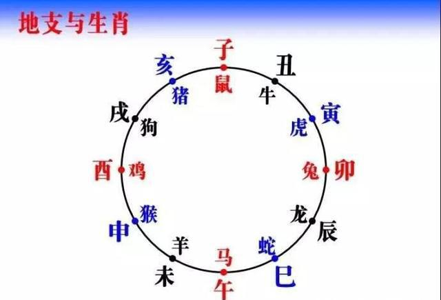 《说文解字》540部首探源深度解读:酉,酋,戌,亥