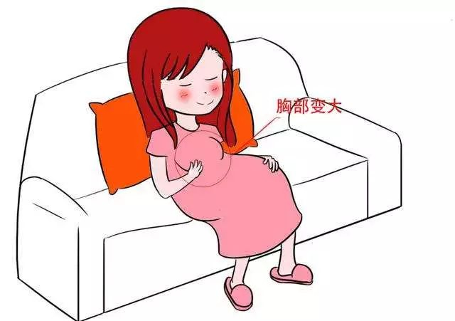 女人怀孕不单肚子会变大 身体这些部位也会有变化哦