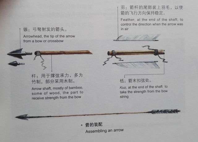 古代投射兵器详解,弓、弩、箭和飞石索!|飞石|弓箭|兵器|箭矢|弓体_新浪新闻