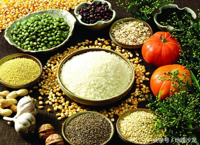 我家种瓜豆菜,老怕植株生病,有啥肥料能增强抗逆性不?