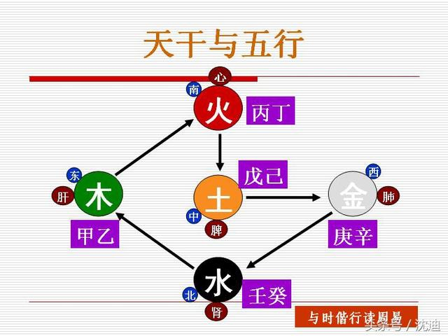 易学常识五:天干和地支