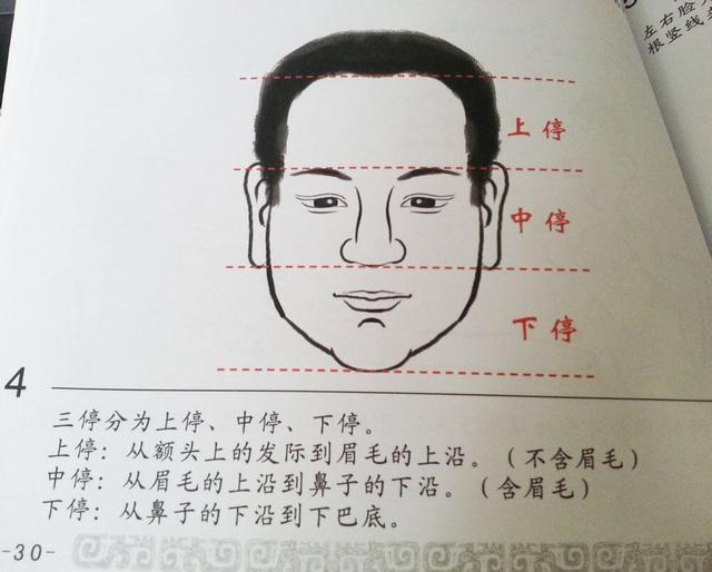教大家面相方面知识,一看就懂,学会自己看相