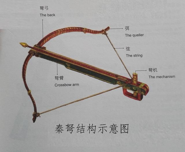 古代投射兵器详解,弓、弩、箭和飞石索!|飞石|弓箭|兵器|箭矢|弓体_新浪新闻