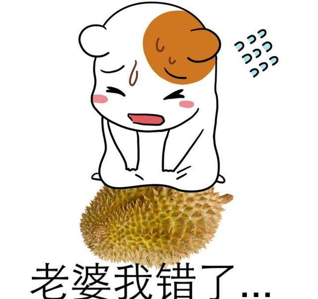 各种认错表情包，拿走不谢
